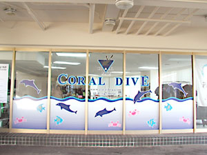 Window @ CORAL DIVE